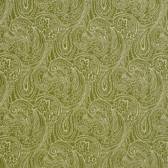 Charlotte Fern/paisley Fabric 2631