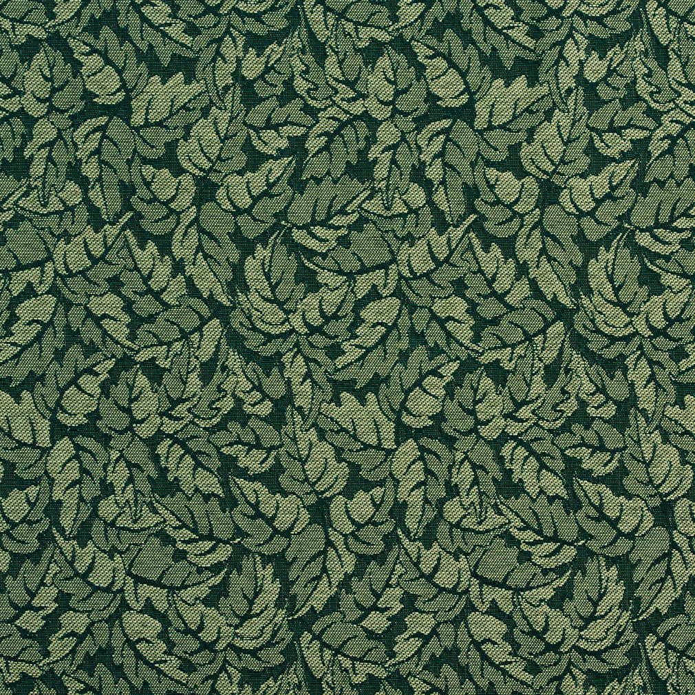 Charlotte Pine Fabric Sample 2746