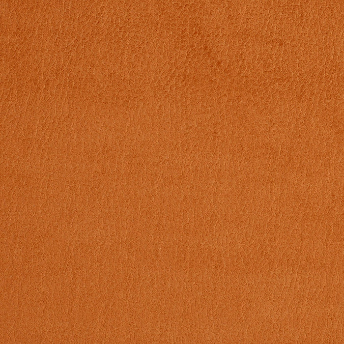 Charlotte Apricot Fabric Sample 2920