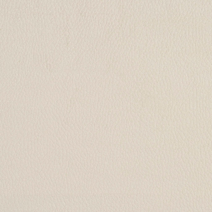 Charlotte Eggshell Fabric Sample 2922