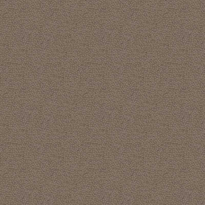 Kravet Couture Behold Shale Fabric 29838.106.0