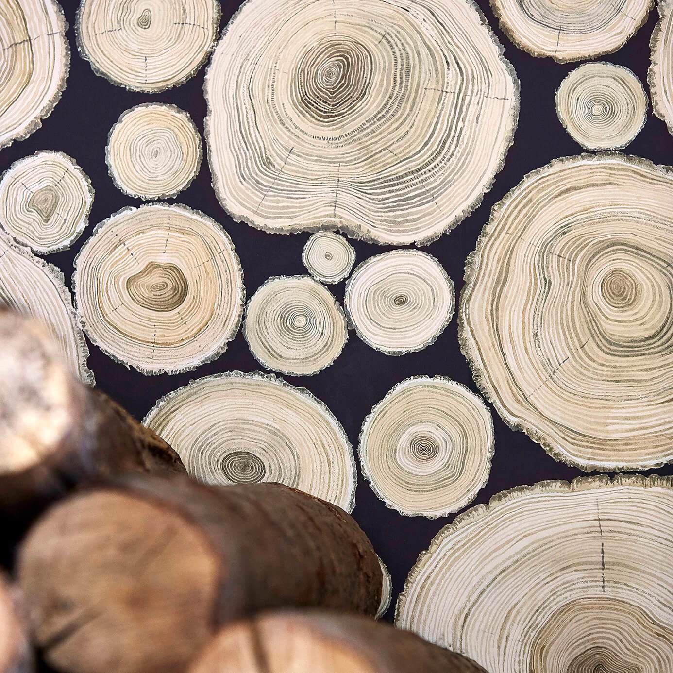 Sanderson Alnwick Logs Driftwood 216508 Wallpaper DEBB216508