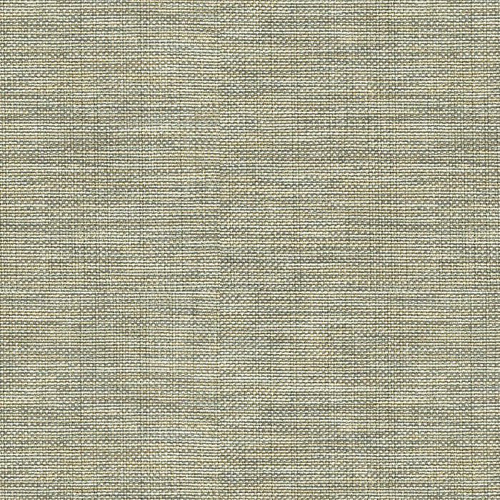 Kravet Basics 30299 1106 Fabric 30299.1106.0