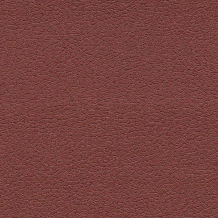 Schumacher Brisa Raisin Fabric 303-1373