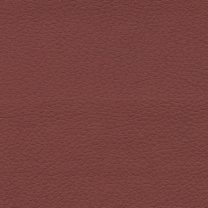 Schumacher Brisa Raisin Fabric Sample 303-1373