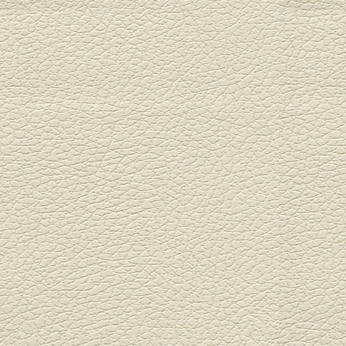 Schumacher Brisa Birch Fabric Sample 303-3019