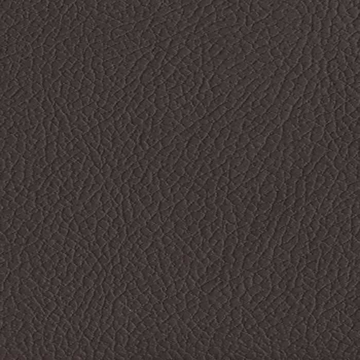 Schumacher Brisa Coffee Bean Fabric Sample 303-3023