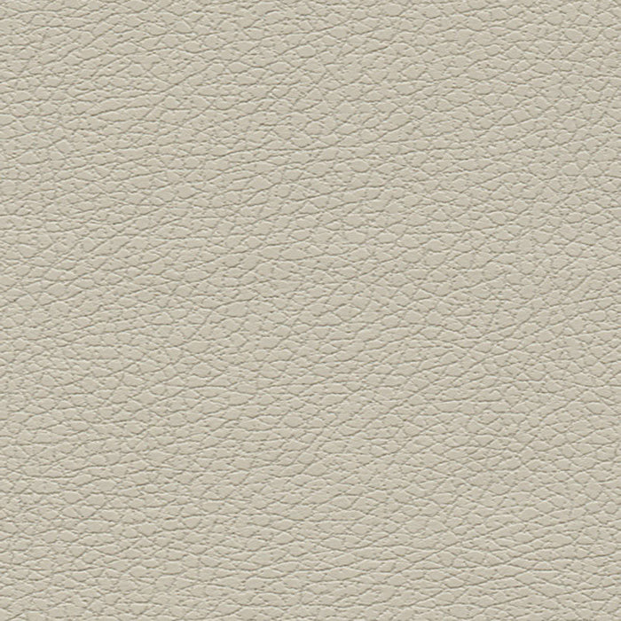 Schumacher Brisa Fog Fabric Sample 303-3822