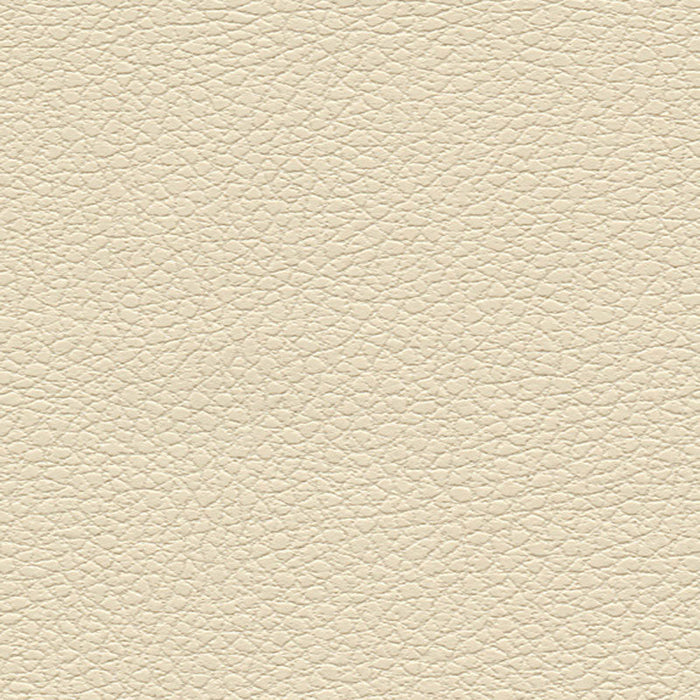 Schumacher Brisa Cream Fabric Sample 303-3863