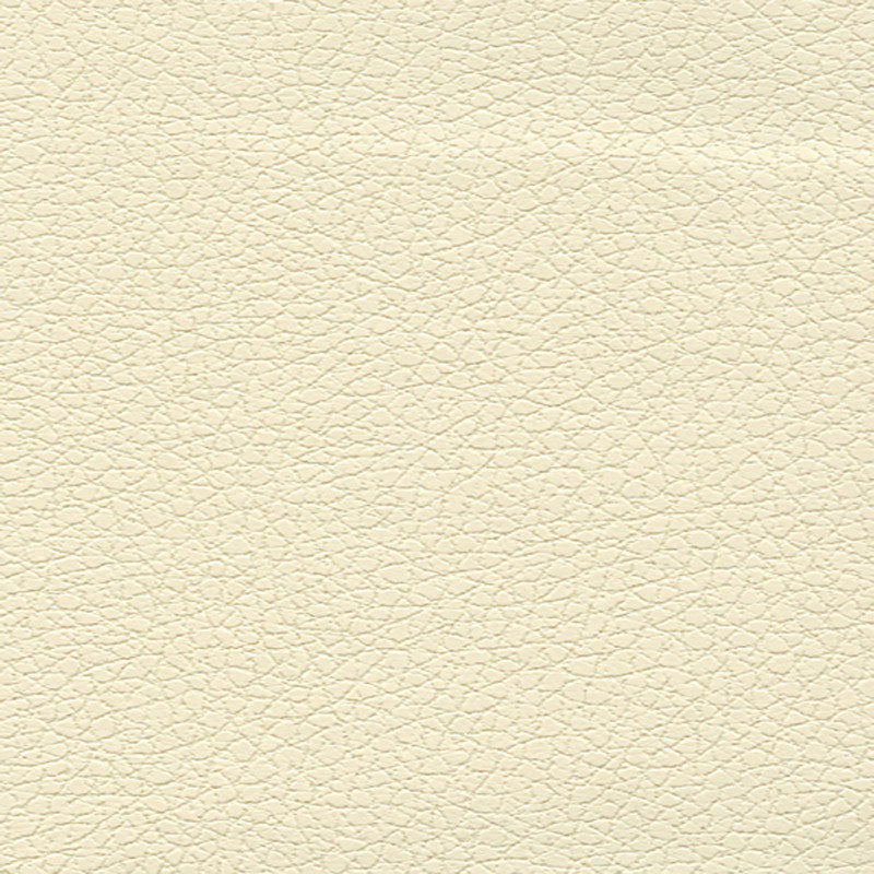 Schumacher Brisa French Vanilla Fabric Sample 303-3866