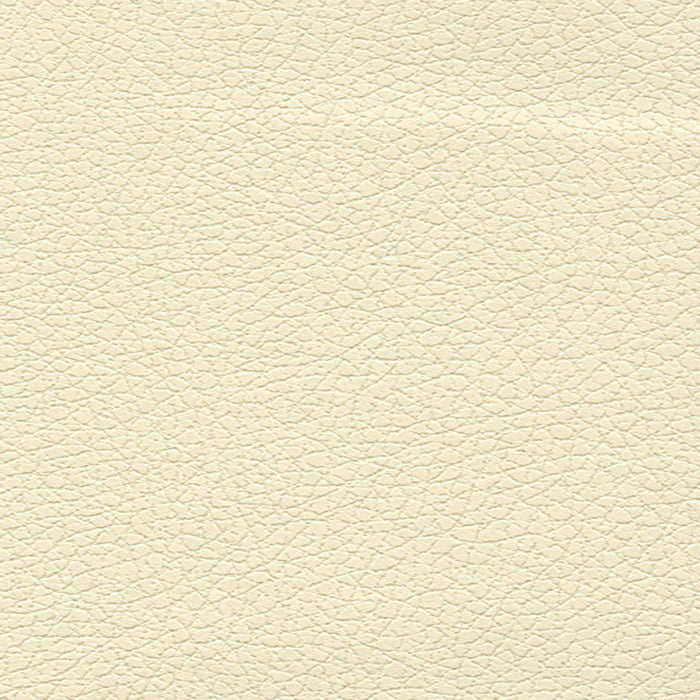 Schumacher Brisa French Vanilla Fabric Sample 303-3866