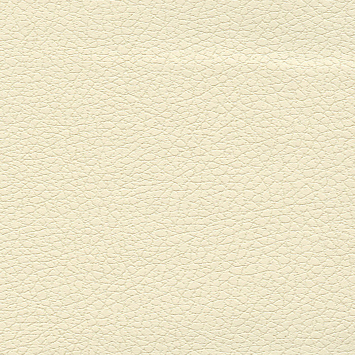 Schumacher Brisa French Vanilla Fabric 303-3866