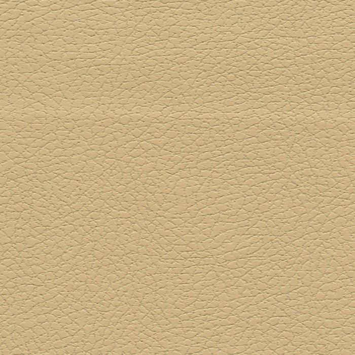 Schumacher Brisa Golden Fabric Sample 303-3867