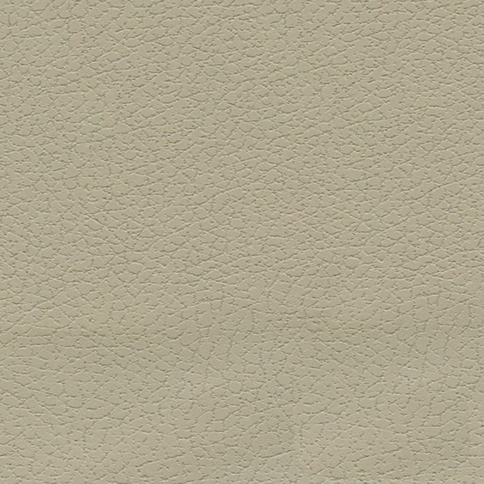 Schumacher Brisa Sand Fabric Sample 303-3946