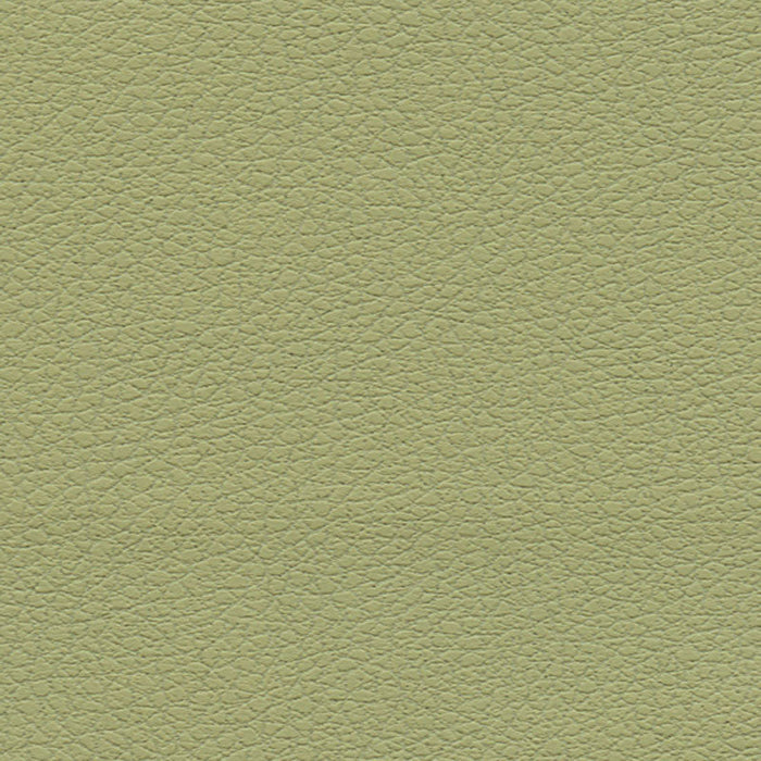 Schumacher Brisa Celery Fabric Sample 303-4510