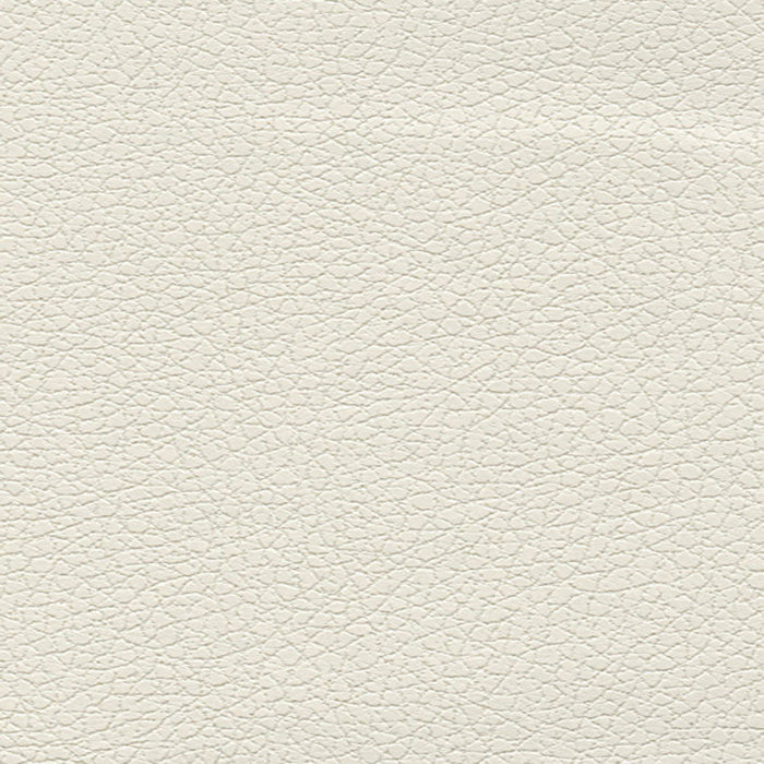 Schumacher Brisa White Fabric Sample 303-5747