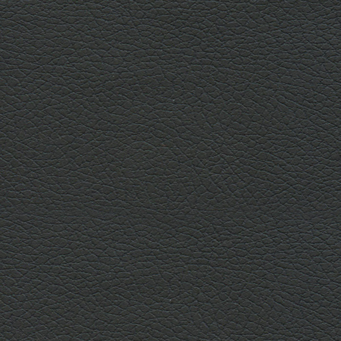 Schumacher Brisa Black Onyx Fabric Sample 303-5749