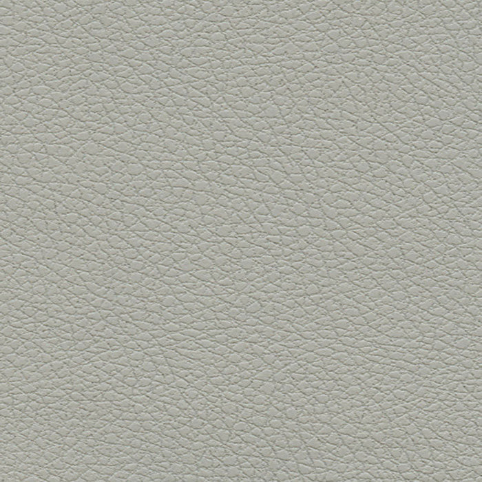 Schumacher Brisa Quicksilver Fabric Sample 303-5820