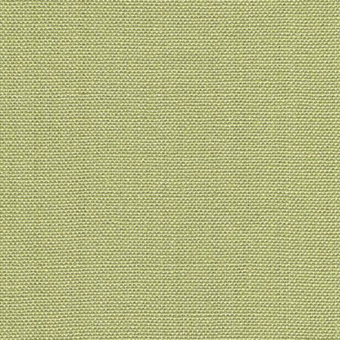 Kravet Basics Watermill Lichen Fabric 30421.23.0