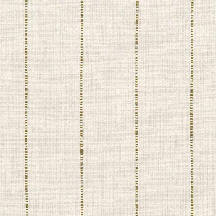 Charlotte  Fabric Sample 31010-01