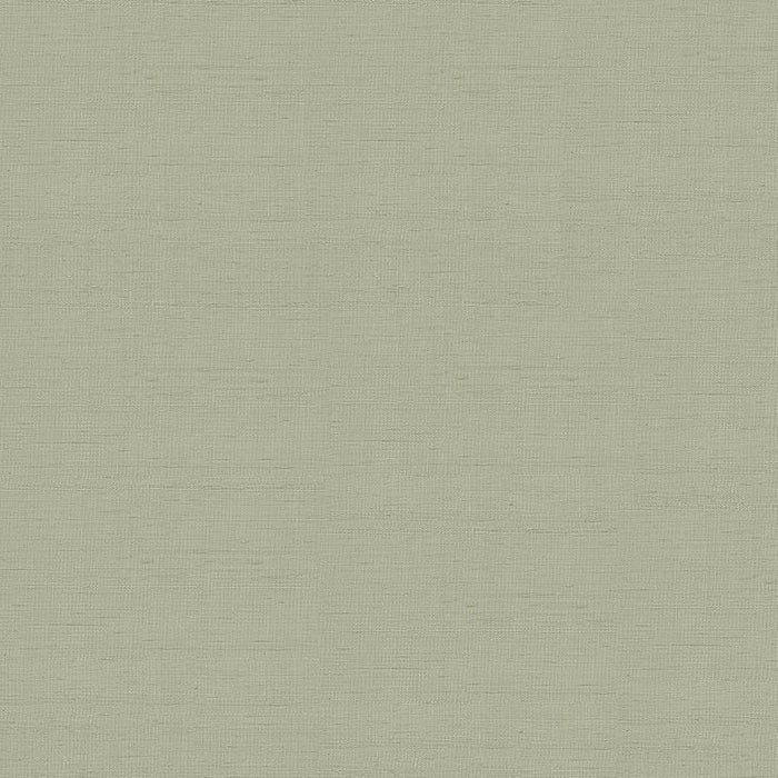 Schumacher Indochine Stone Fabric 3123011