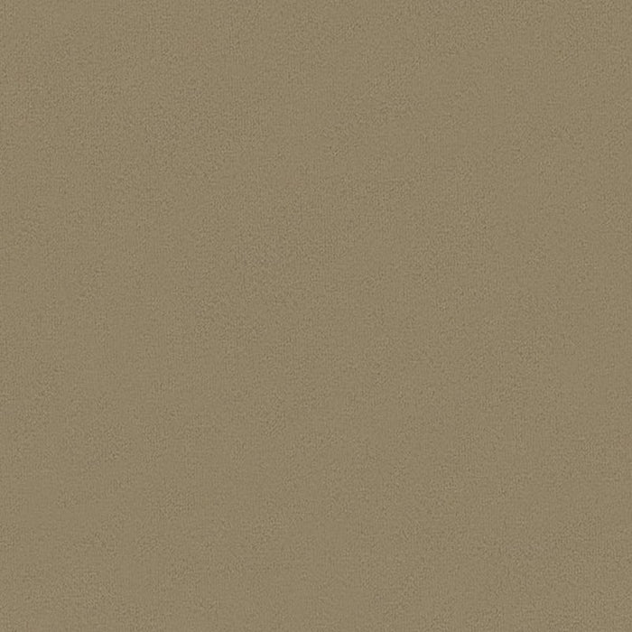 Kravet Basics Broadmoor Bark Fabric 32642.1611.0