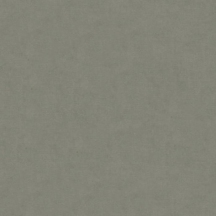 Brunschwig & Fils Charmant Velvet Pewter Fabric 8013150.11.0