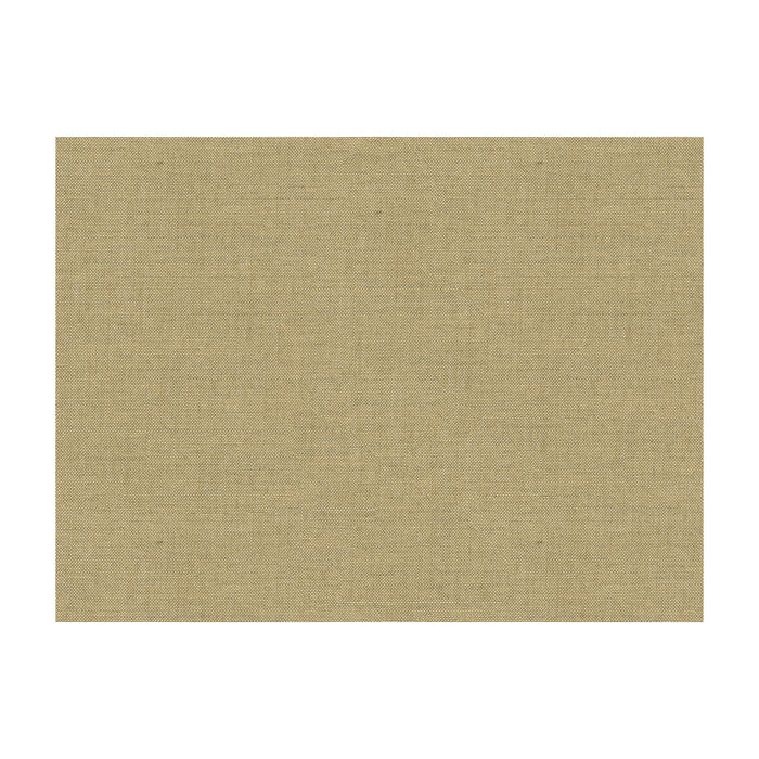 Kravet Smart 33225.1616.0 Fabric