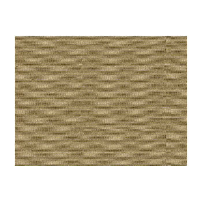 Kravet Smart 33396.1616.0 Fabric