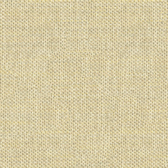 Kravet Couture Do The Hustle Platinum Fabric 33443.411.0