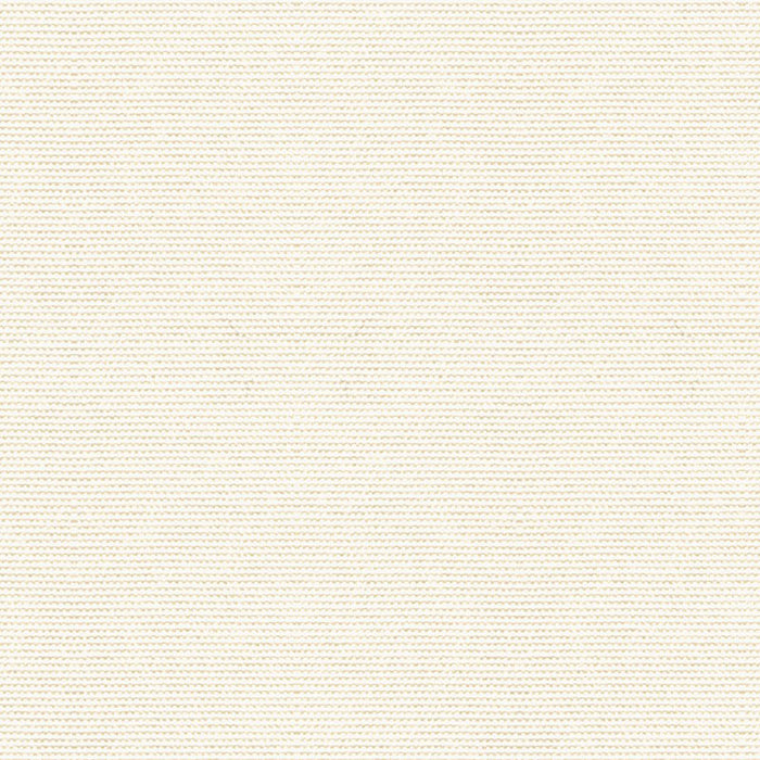 Kravet Design Cover Salt Fabric 33496.101.0