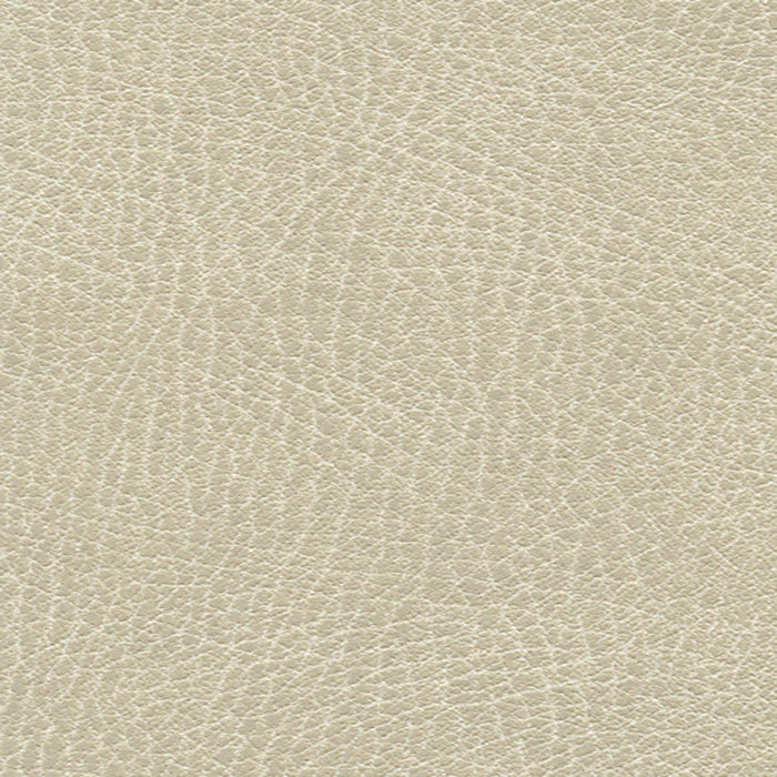 Schumacher Brisa Distressed Putty Fabric Sample 335-3021