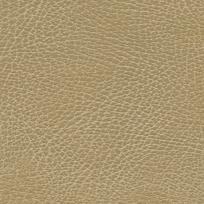 Schumacher Brisa Distressed Buckskin Fabric Sample 335-3134