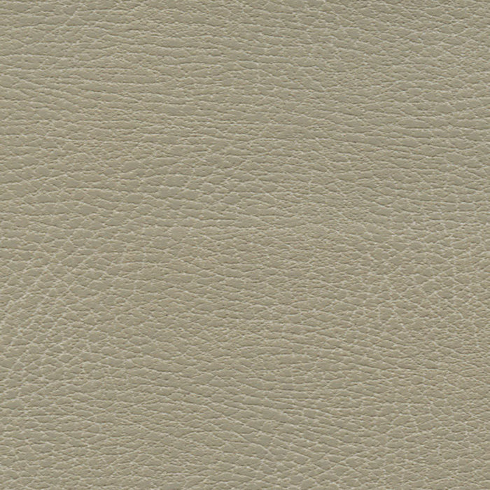 Schumacher Brisa Distressed Dune Fabric Sample 335-3869