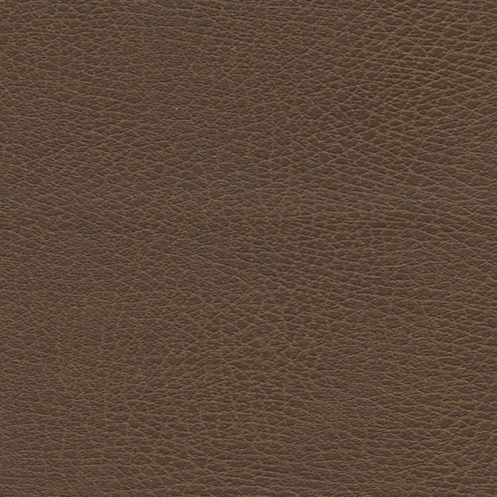 Schumacher Brisa Distressed Bridle Fabric Sample 335-3976