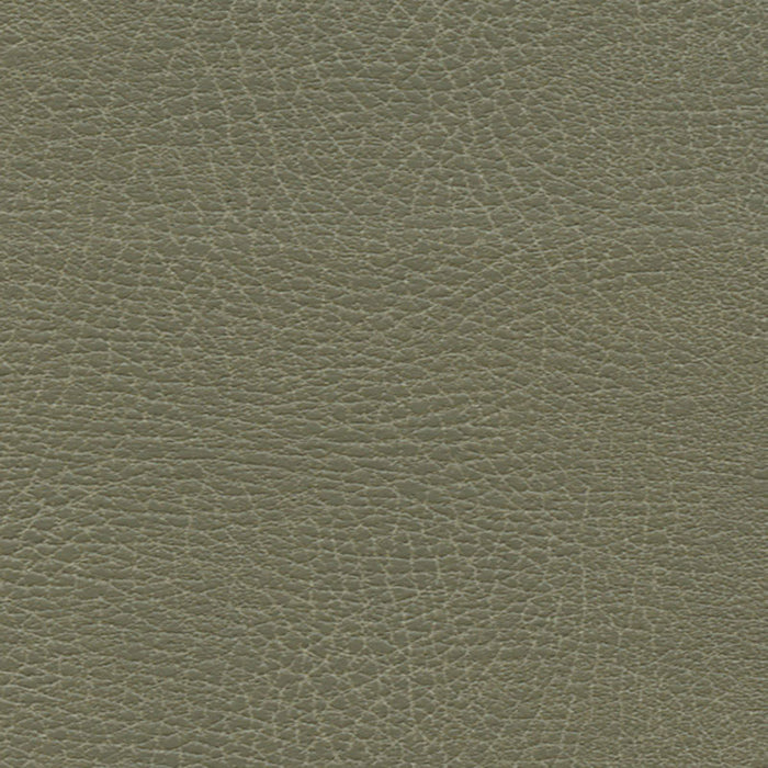 Schumacher Brisa Distressed Prairie Fabric 335-4512