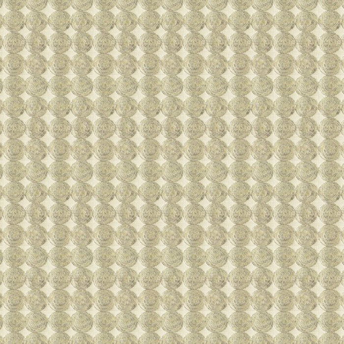 Kravet Couture Rare Coin Platinum Fabric 33557.106.0