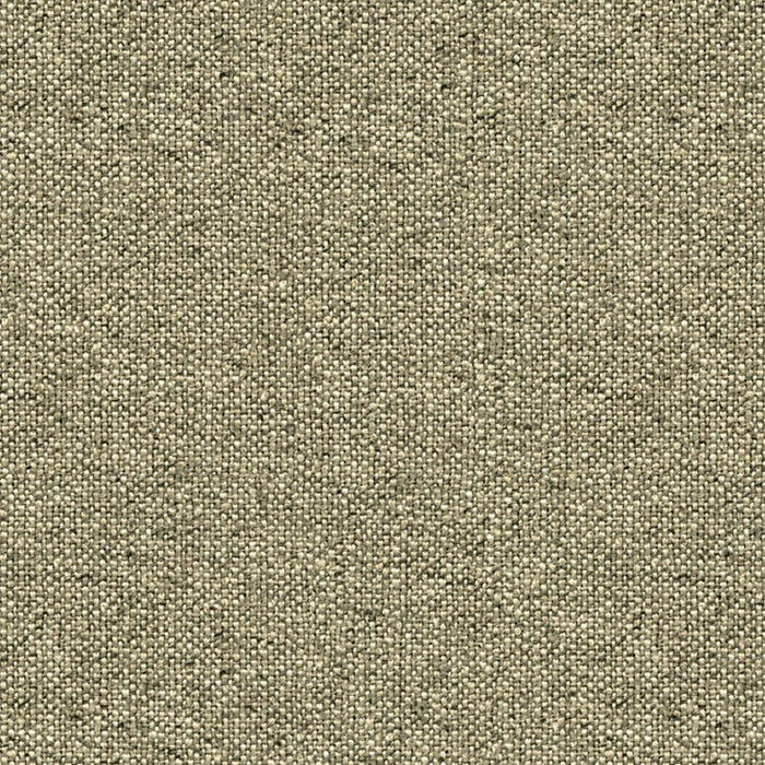 Kravet Design Parla Cobblestone Fabric 33659.811.0