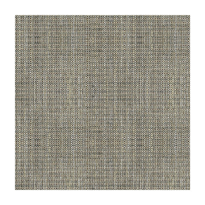 Kravet Basics Rafael Coal Fabric 33788.81.0