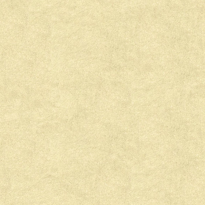 Kravet Couture Chic Alpaca Blanc Fabric 33837.1.0