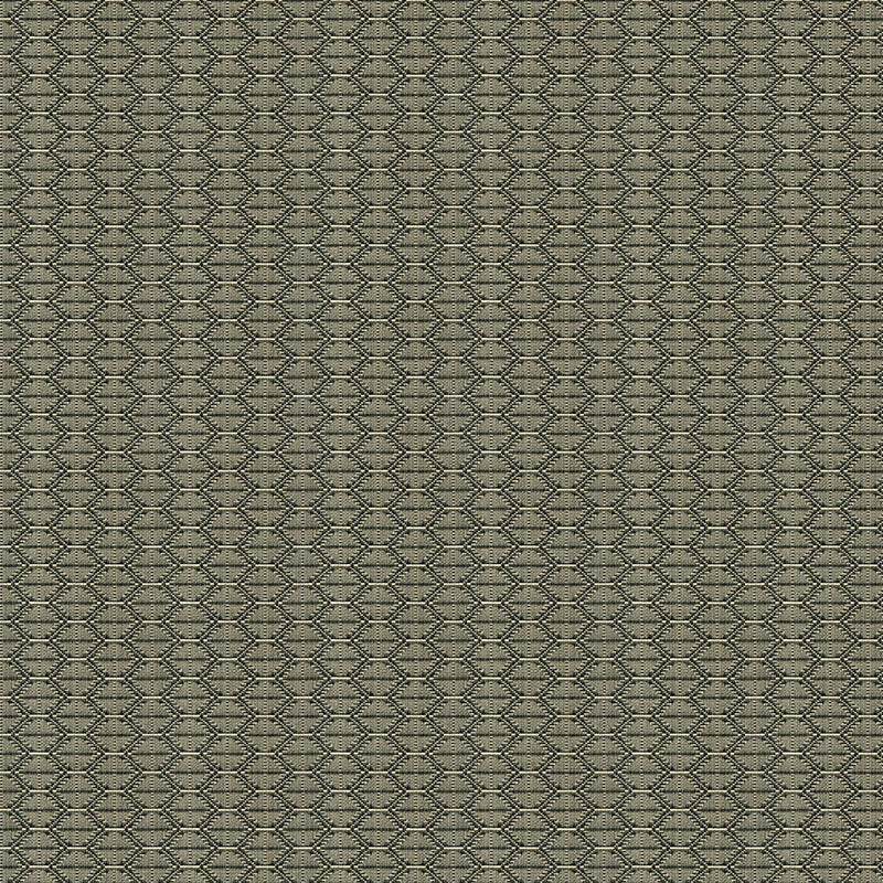 Kravet Contract Nzuri Thunder Fabric 33862.1621.0