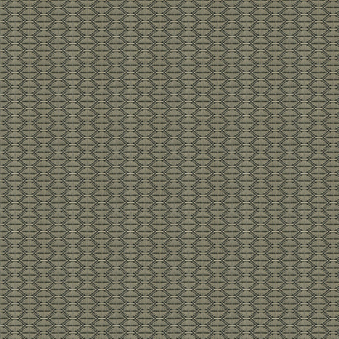 Kravet Contract Nzuri Thunder Fabric 33862.1621.0