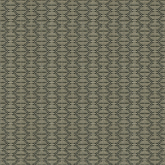 Kravet Design 33880 1621 Fabric 33880.1621.0