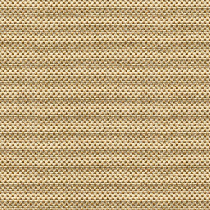 Kravet Design Sener Ochre Fabric 33887.416.0