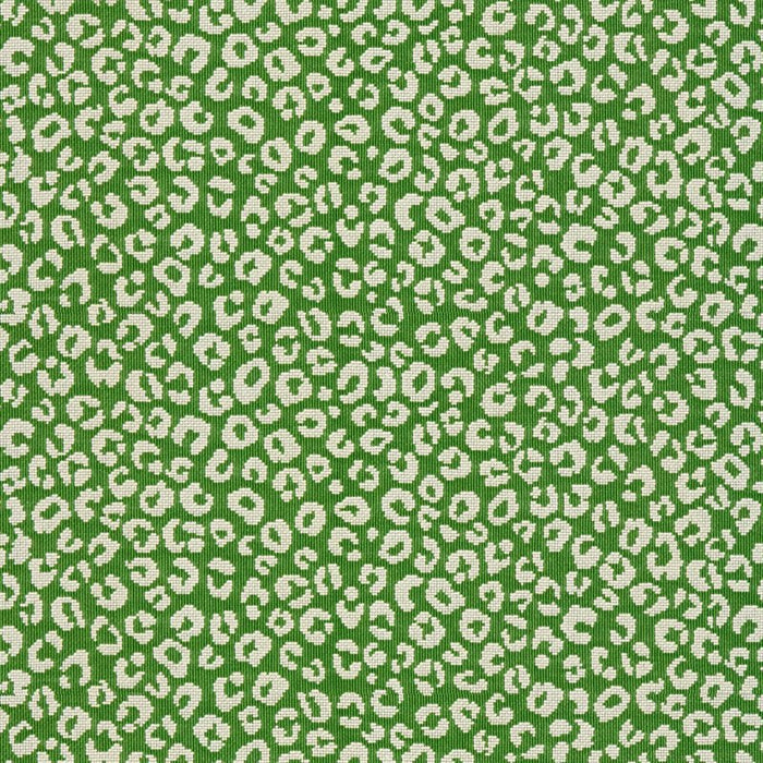 Kravet Design Ocelot Dot Picnic Green Fabric 34047.3.0