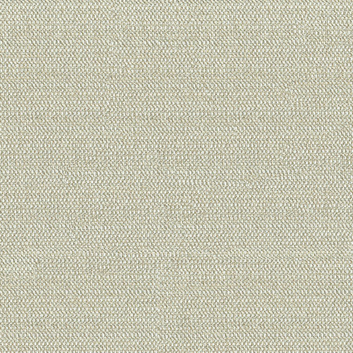 Kravet Design Tully Flaxseed Fabric 34049.1616.0