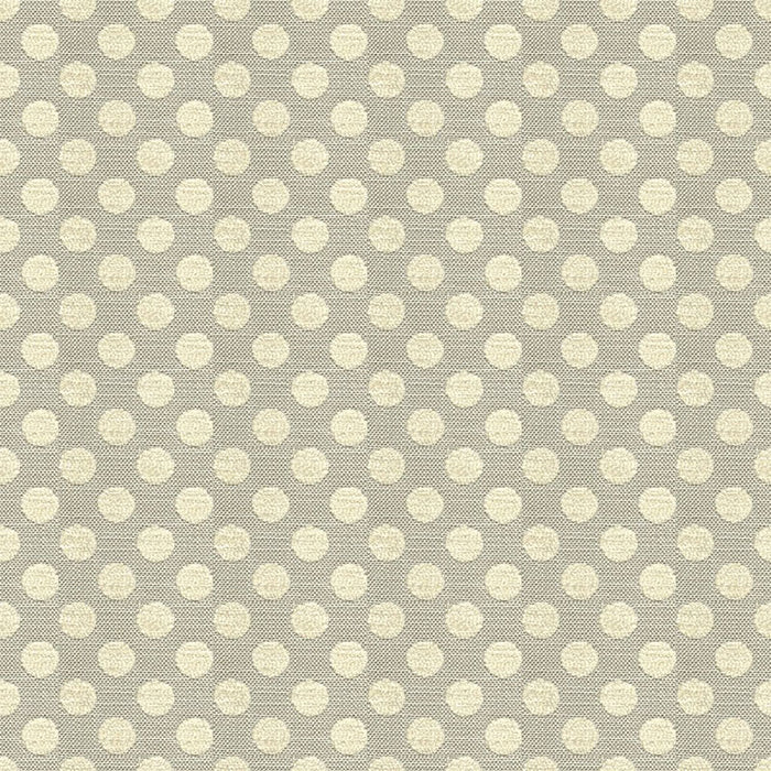 Kravet Design Posie Dot Sterling Fabric 34070.1611.0