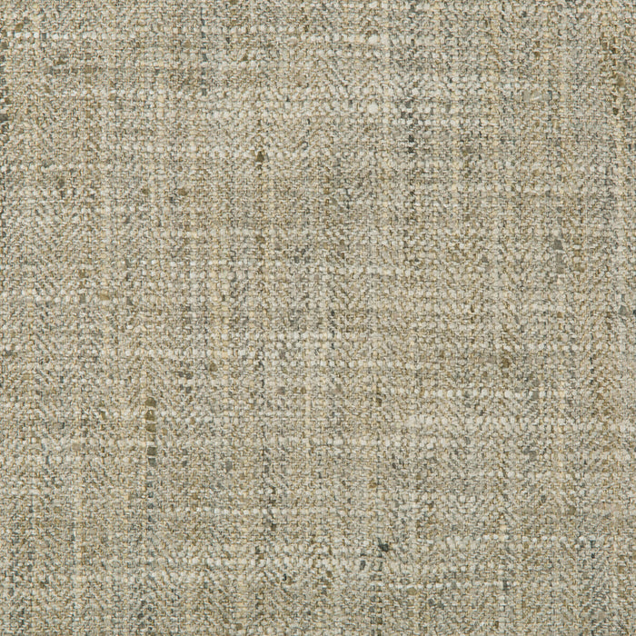 Kravet Smart 34088 1116 Fabric 34088.1116.0