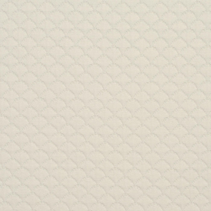 Charlotte Shell Fabric Sample 3464