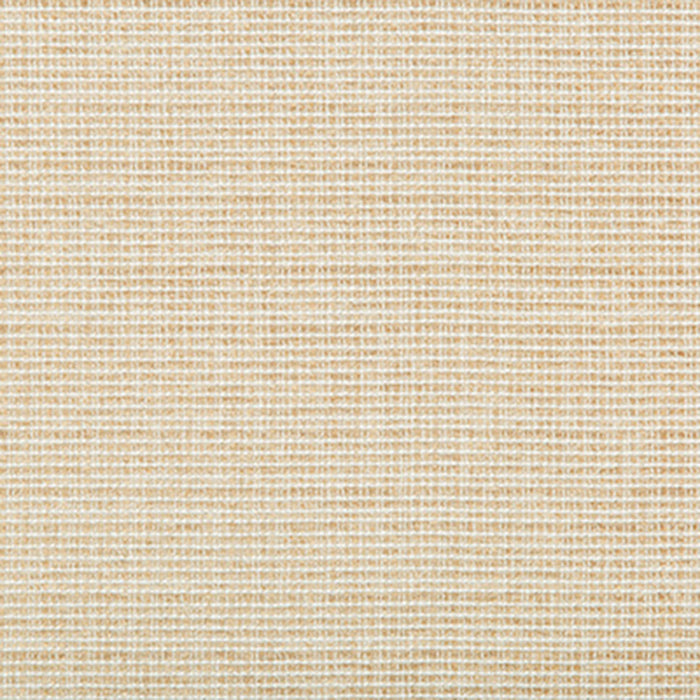 Kravet Basics Saddlebrook Sand Fabric 35345.16.0